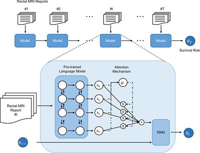 Deep-Learning-Based Natural Language Processing of Serial Free-Text Radiological Reports for Predicting Rectal Cancer Patient Survival